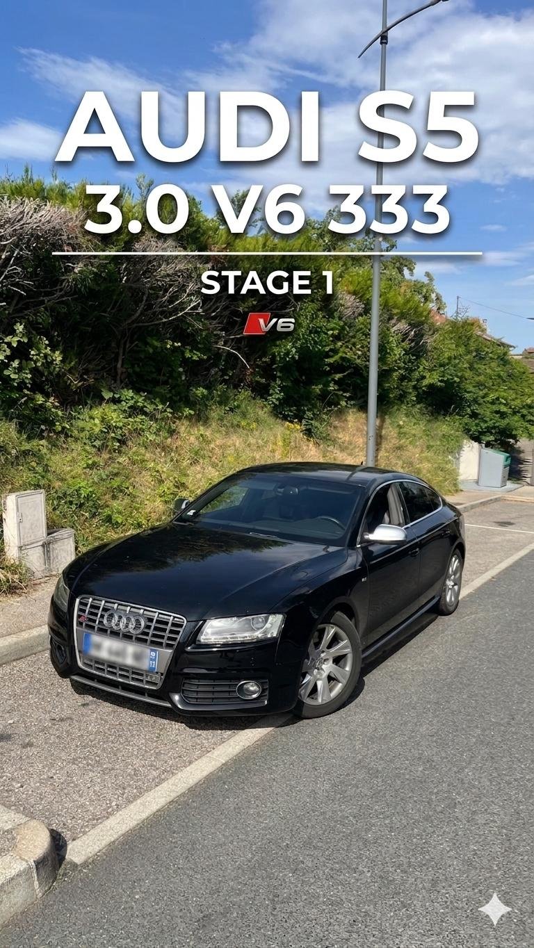 Audi S5 3.0 V6 333 cv Stage 1